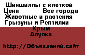 Шиншиллы с клеткой › Цена ­ 8 000 - Все города Животные и растения » Грызуны и Рептилии   . Крым,Алупка